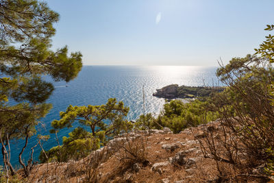 Beautiful view through the branches of the blue sea