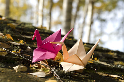 Close-up of paper toy on land