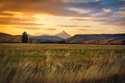 Scenic view of field against sky during sunset