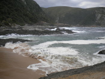 Scenic view of beach