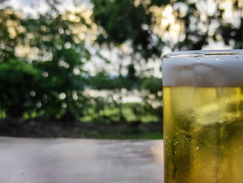 Close-up of beer glass