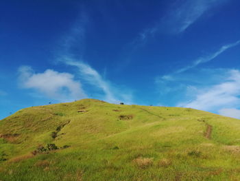 Scenic view of grassy field against sky