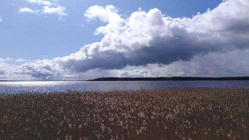 Scenic view of sea against sky