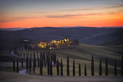 Landscape with cypresses in tuscany - italy xii