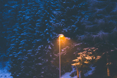 Street light at night