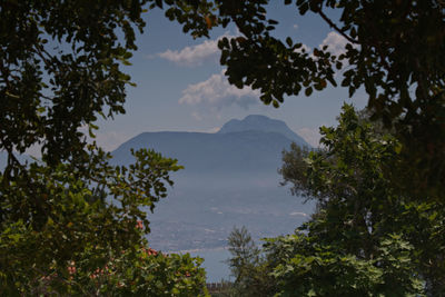 Scenic view of tree mountains against sky