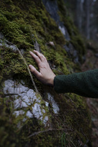 Cropped hand of man gesturing against trees