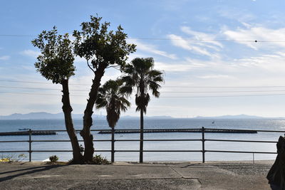 Trees by sea against sky