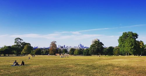 Scenic view of trees on field against blue sky