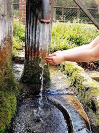 Midsection of man splashing water in grass