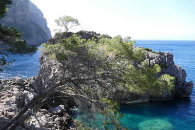 Scenic view of rocks by sea against sky