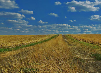 Scenic view of field against sky
