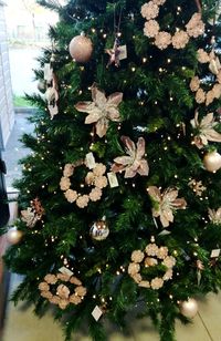 Close-up of christmas tree at night