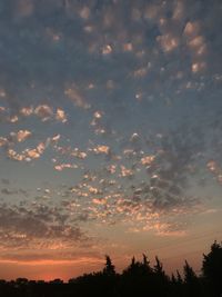 Low angle view of silhouette trees against sky during sunset