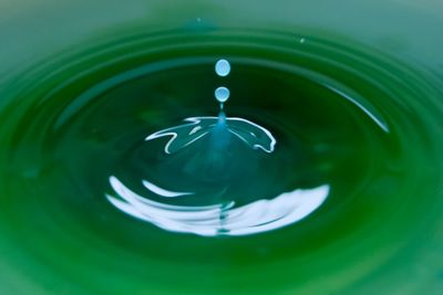 Close-up of drop falling in water