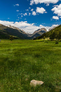 Scenic view of field against sky