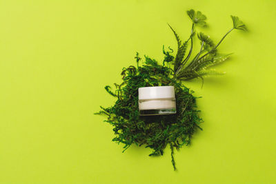 Facial cosmetic product on a green background with plants. eco and natural beauty concept. 