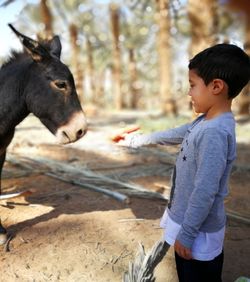 Side view of boy standing by horse