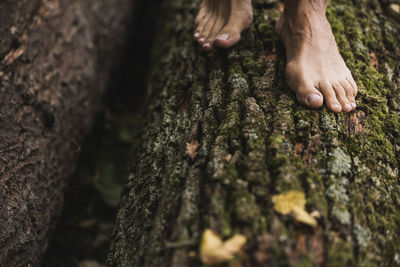 Man standing on tree trunk