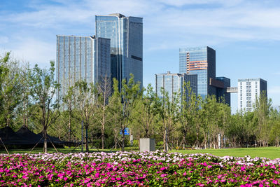 Xi'an city skyline