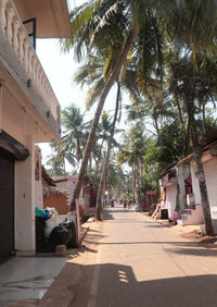 View of an trees by building