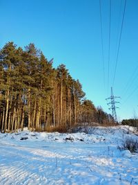 Trees on snow covered landscape against blue sky