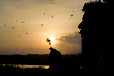 Silhouette of man blowing dandelion against sky during sunset