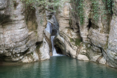 Scenic view of river amidst trees in forest