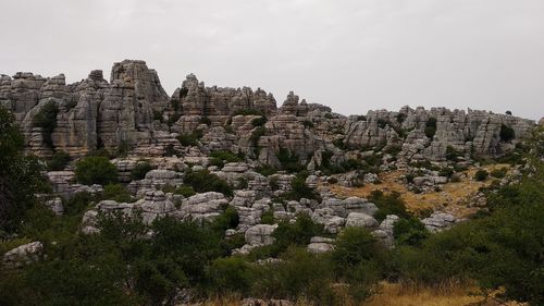 View of rocks and trees on landscape against clear sky