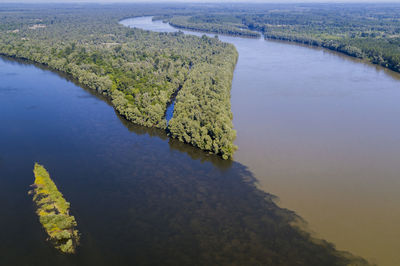 High angle view of river amidst trees