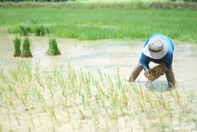 Woman working in farm