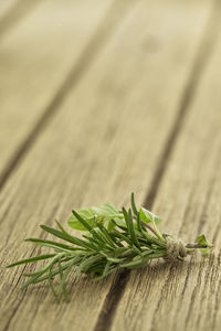 Close-up of herbs on cutting board