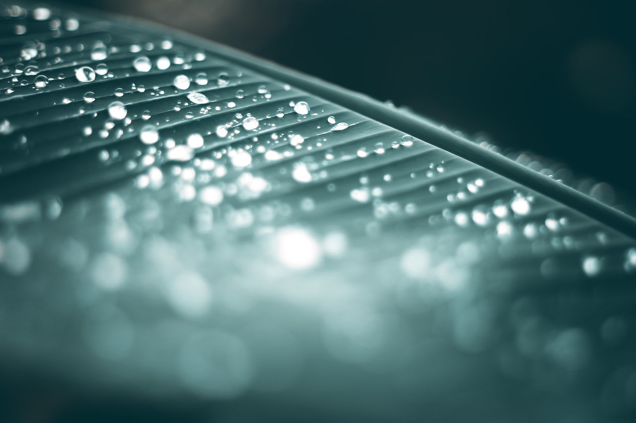 CLOSE-UP OF WATER DROPS ON COMPUTER