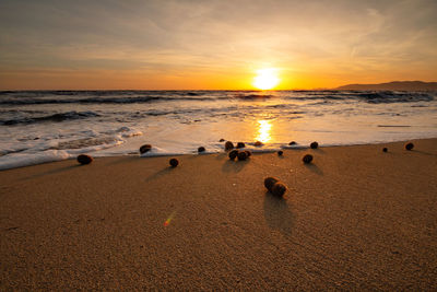 Scenic view of sea against sky during sunset