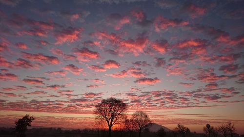 Low angle view of silhouette trees against dramatic sky