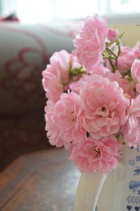 Close-up of pink flowers