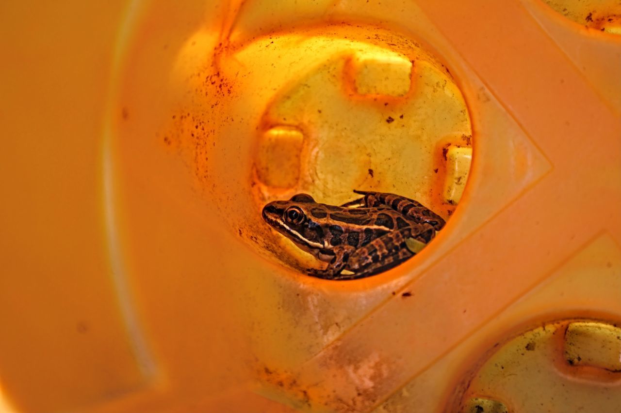 HIGH ANGLE VIEW OF DRINK IN CONTAINER