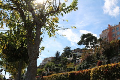 Low angle view of built structure and trees against sky