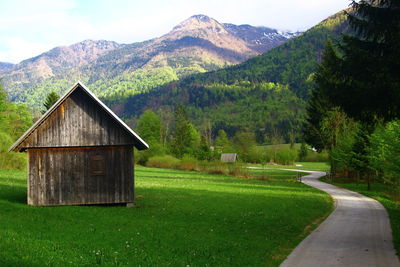 Scenic view of green landscape against sky