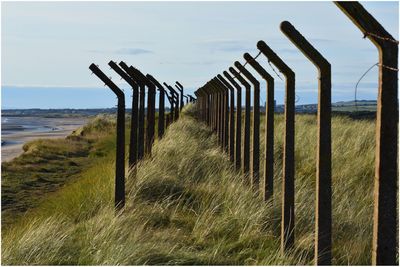 Wooden posts on beach against sky