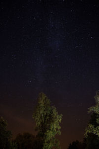 Low angle view of trees against sky at night