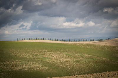 Scenic view of field against sky