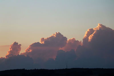 Low angle view of silhouette trees against sky