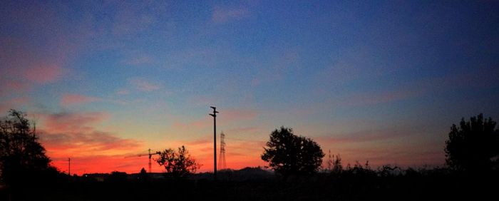 Silhouette of trees at sunset