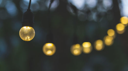 Close-up of light bulb hanging on tree