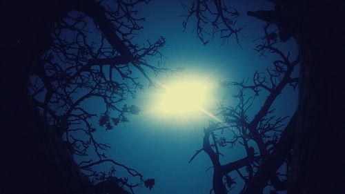 Low angle view of bare trees against sky