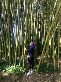 Full length of woman standing by bamboo grooves in forest