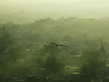 View of foggy weather