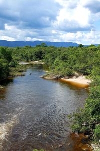 Scenic view of river amidst trees against sky