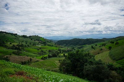 Scenic view of landscape against sky